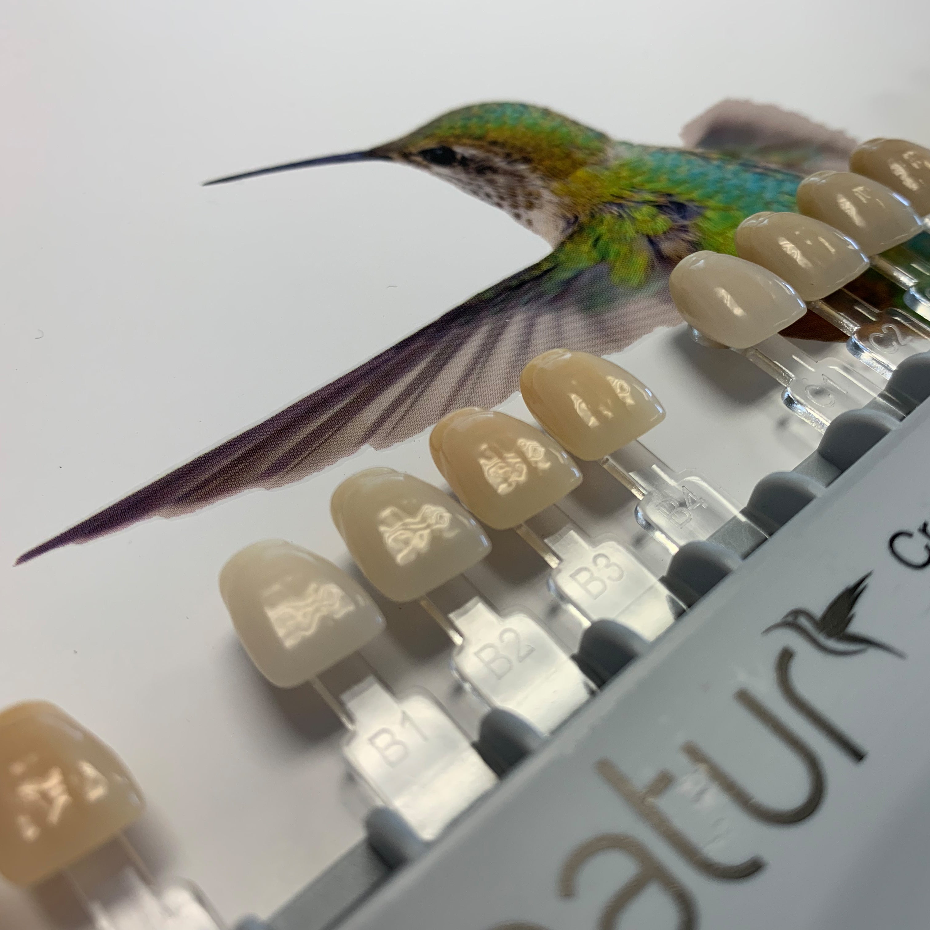 4natur Accessories Wren Dental USA