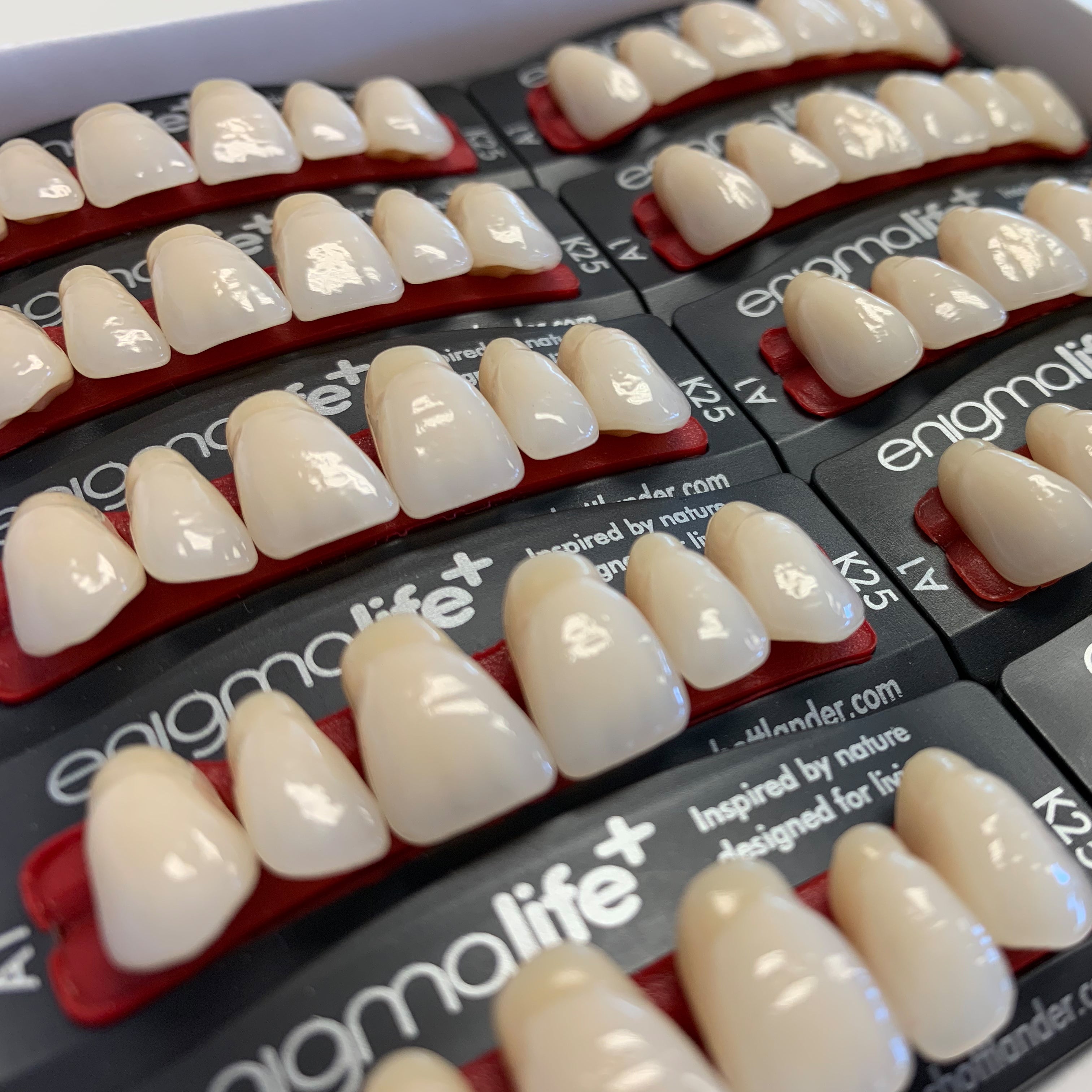 健康・医学 Best Denture Design 41Z8fOUB08L._AC_SY200_QL15_.jpg