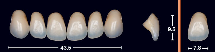 O33 Code O33 4natur Upper Anteriors – Wren Dental USA
