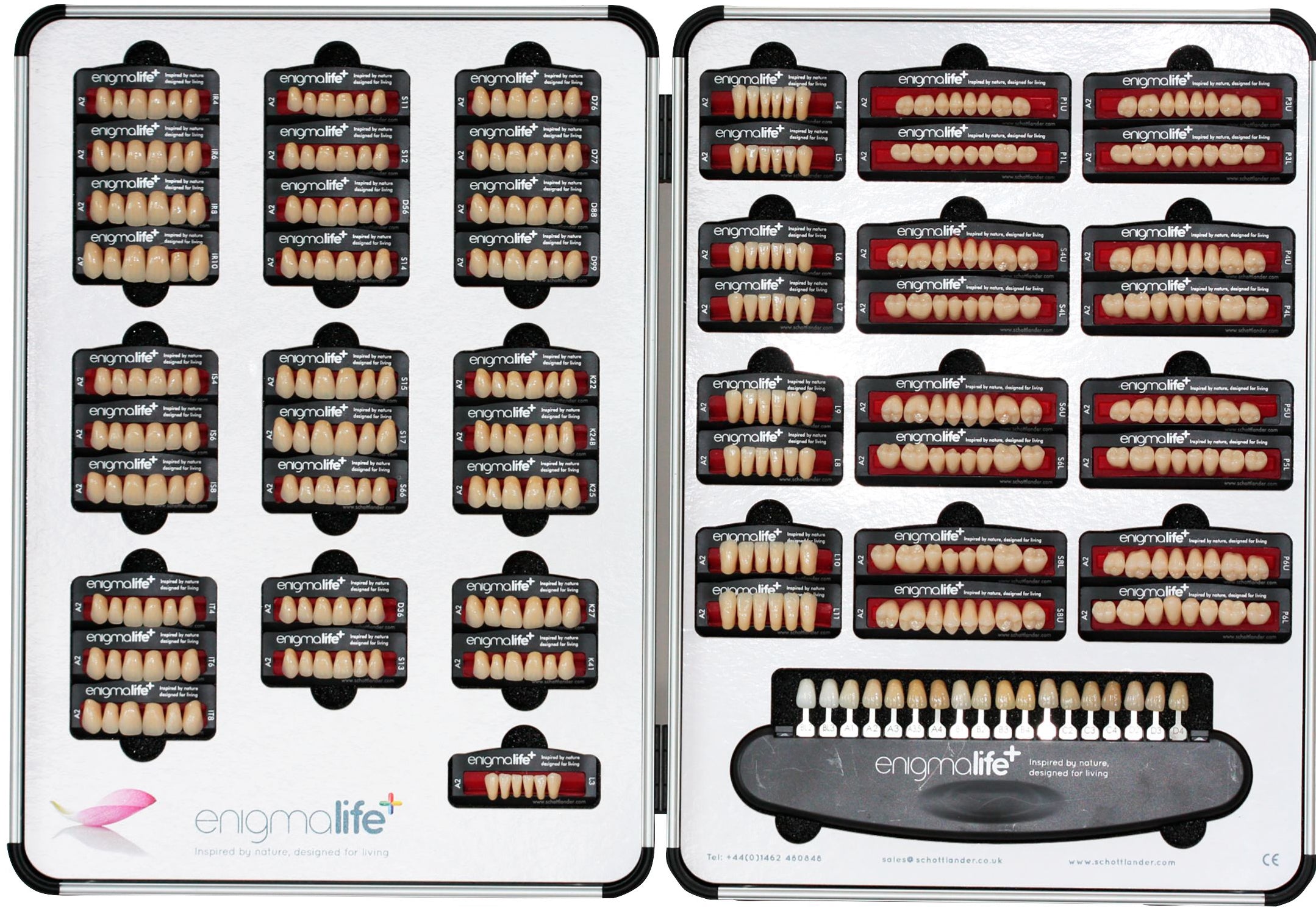 enigmalife+ Technician's Assortment Wren Dental USA